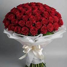 Букет 101 Красная роза Блэк Мэджик в Лузино