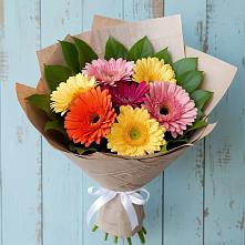 Букет цветов из:  Герберы #REPLACE_PRED# Лузино