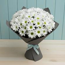 Букет цветов из:  Хризантемы в Лузино