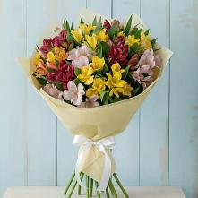 Букет цветов из:  Альстромерии в Лузино