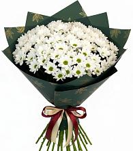 Букет цветов из:  Хризантемы #REPLACE_PRED# Лузино