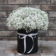 Цветочная композиция из Гипсофила в шляпной коробке в Лузино