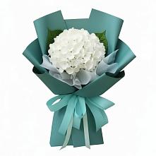 Букет цветов из:  Гортензия в Лузино
